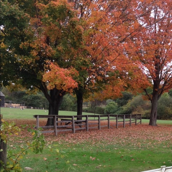 Meet your Posher, Talia - Picture 1 of 1